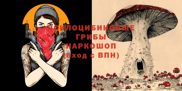 гидропоника Пенза