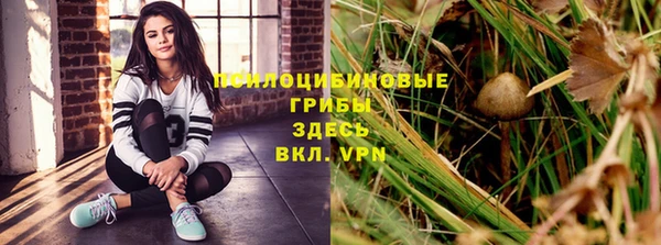 дживик Киров