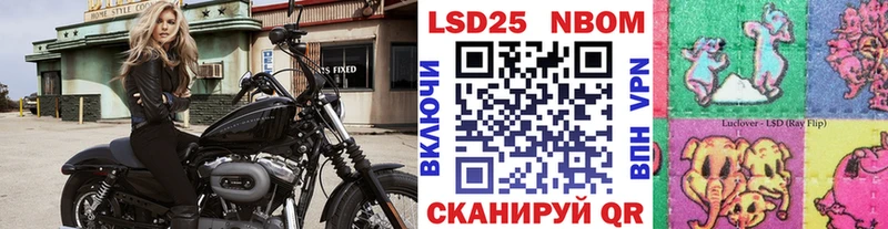 Купить где  Александровск  Наркотические марки 1500мкг 